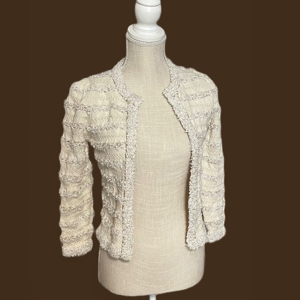 Ann Taylor Blazer